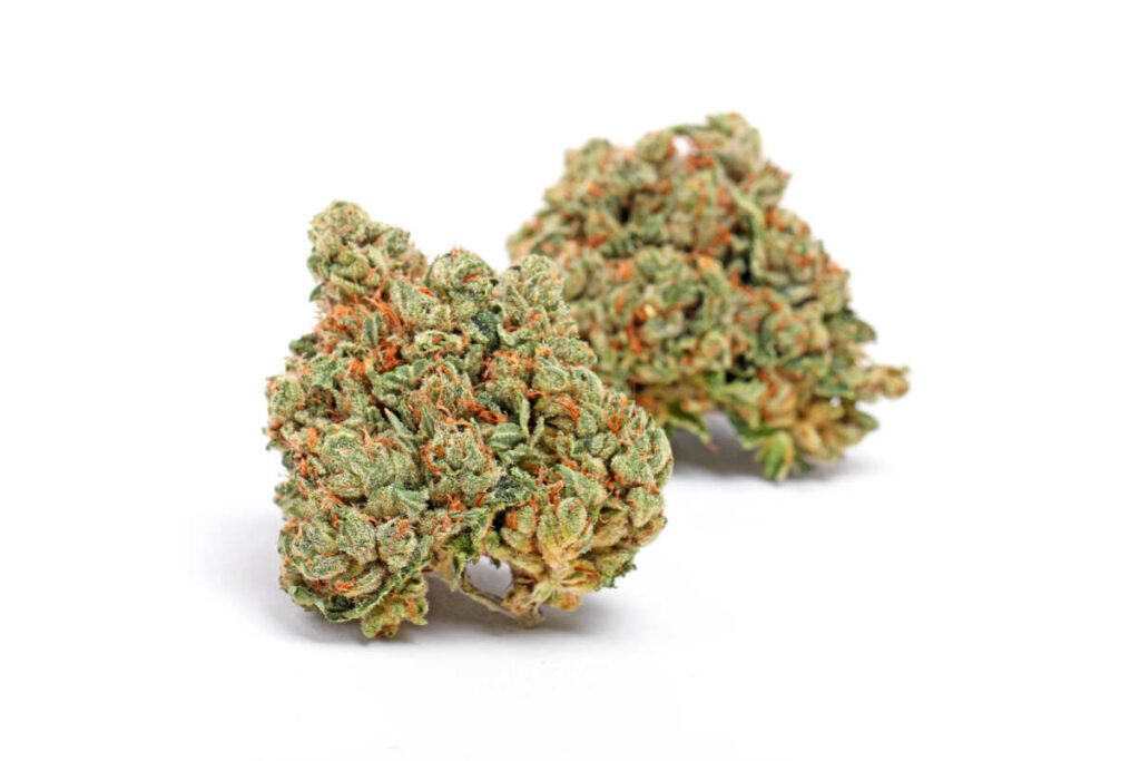 Paris,Og,Cannabis,Strain - Da Green Corner Weed Delivery Alien OG is a powerhouse indica-dominant hybrid known for its extremely high THC levels, often testing between 25-30% THC or higher. A cross between Tahoe OG Kush and Alien Kush, this strain delivers a potent combination of euphoria, deep relaxation, and cerebral stimulation, making it a top choice for experienced users with a high tolerance.