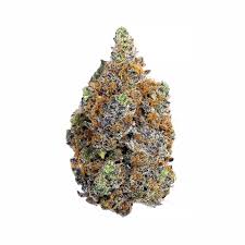 Ganja-Og - Da Green Corner Weed Delivery Ganja Man is a top-tier, high-THC cannabis strain known for its potent effects, rich terpene profile, and heavy-hitting high. This strain is crafted for experienced users who seek an intense, long-lasting buzz with a perfect balance of euphoria, relaxation, and mental stimulation.