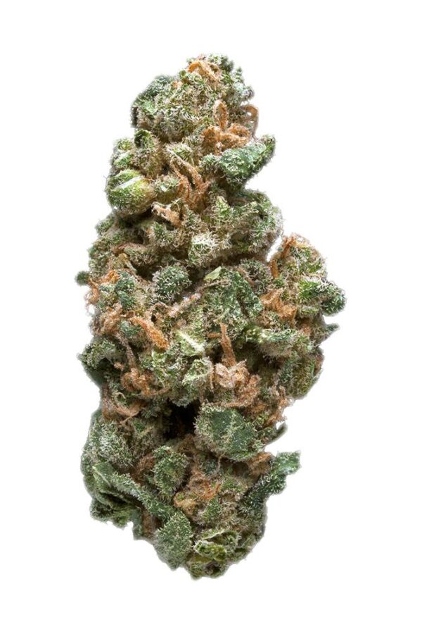 Lamb’s Bread is a renowned sativa-dominant cannabis strain known for its uplifting, energizing effects and high THC content. Often regarded as a "cult classic," this strain is cherished by both experienced users and medical patients for its potent effects and unique flavor profile.