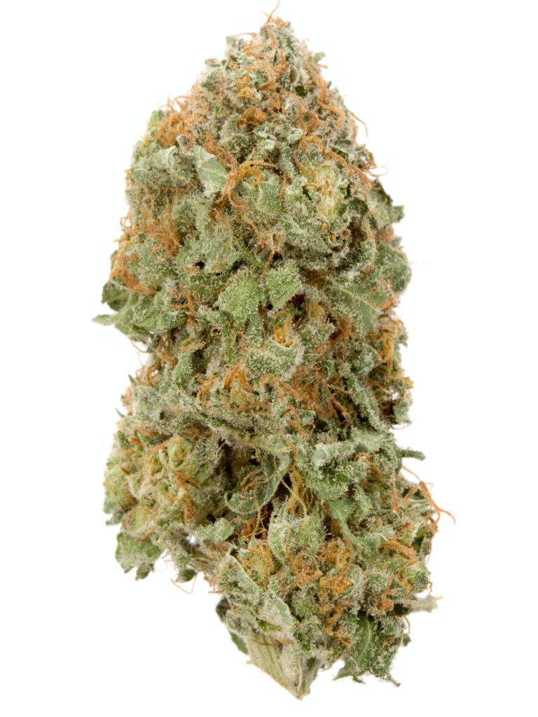 Strawberry-Kush - Da Green Corner Weed Delivery Strawberry Kush is a popular hybrid strain known for its sweet, fruity aroma with a hint of earthy undertones. It offers a balanced effect, often providing relaxation without heavy sedation, making it great for daytime use. This strain typically combines the relaxing effects of Kush with the uplifting, creative buzz from its strawberry genetics. It's well-loved by both recreational and medicinal users for its ability to relieve stress and enhance mood. Its dense, resin-covered buds are often a beautiful mix of green and purple hues.