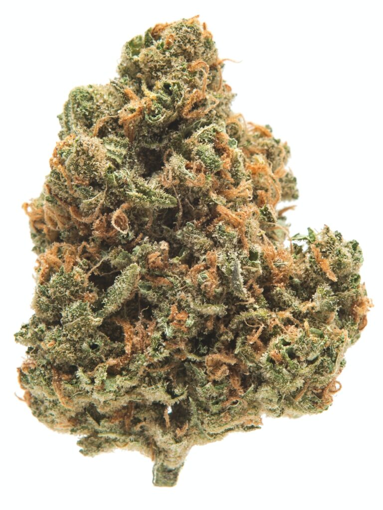 brain-freeze (2) - Da Green Corner Weed Delivery Brace yourself for the cool rush of Brainfreeze (BR), an exhilarating Sativa dominant hybrid strain that combines the best of both worlds. Known for its balanced effects, this strain delivers an instant cerebral uplift, followed by a soothing body relaxation that’s perfect for unwinding after a long day or enhancing creative moments. With a high THC content and a refreshing, frosty vibe, Brainfreeze is your go-to for a highly enjoyable and potent experience.