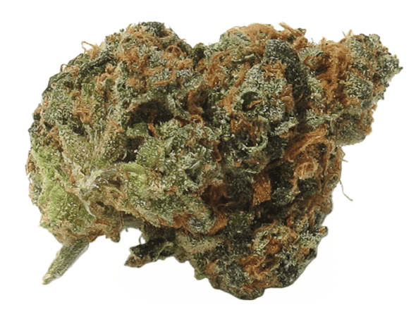 church-og-new - Da Green Corner Weed Delivery Church OG is a potent indica-dominant strain known for its heavy-hitting body high and deep relaxation effects. With THC levels typically ranging between 26% and 29%, this strain is ideal for experienced users looking for intense euphoria and full-body sedation.