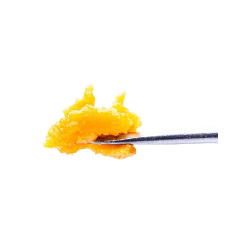 Badder Gelato - Da Green Corner Weed Delivery Badder Gelato is a cannabis concentrate with a creamy, smooth texture and a potent, flavorful profile. Known for its rich, terpy aroma, it combines the delicious flavors of gelato with the potent effects of a high-quality concentrate. The consistency is often described as "badder," meaning it's thicker and less viscous than shatter, but still easy to work with for dabbing. It offers a balanced, euphoric experience, often helping with stress relief and relaxation. The terpenes found in Badder Gelato can include sweet, citrusy, and earthy notes, making it an appealing option for cannabis connoisseurs.