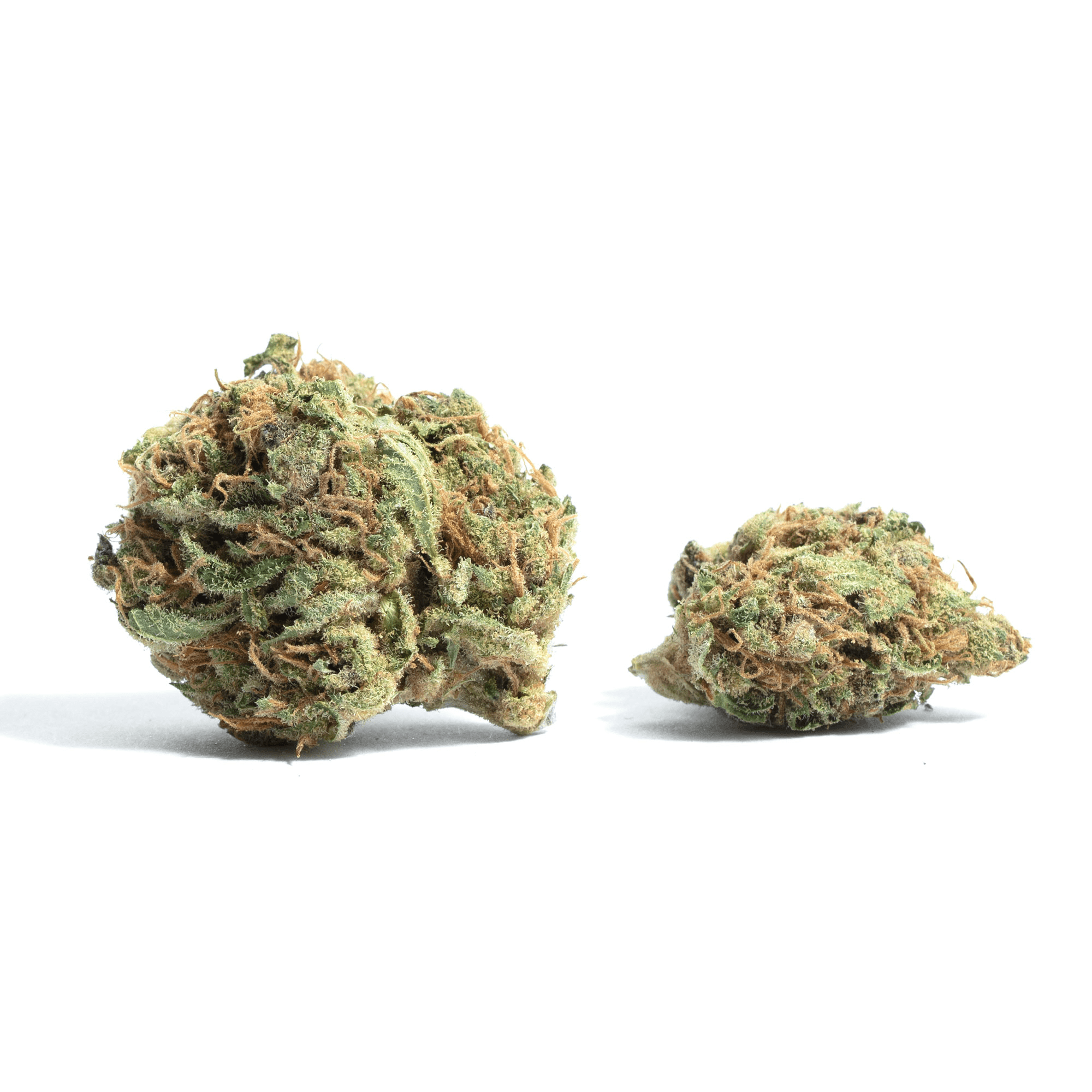 holy-grail-og - Da Green Corner Weed Delivery Holy Grail OG, also known as HG, is a legendary indica-dominant hybrid known for its powerful effects, rich flavor profile, and exceptionally high THC levels. A cross between OG #18 and Kosher Kush, this strain is highly sought after for its potent relaxation and euphoric high.