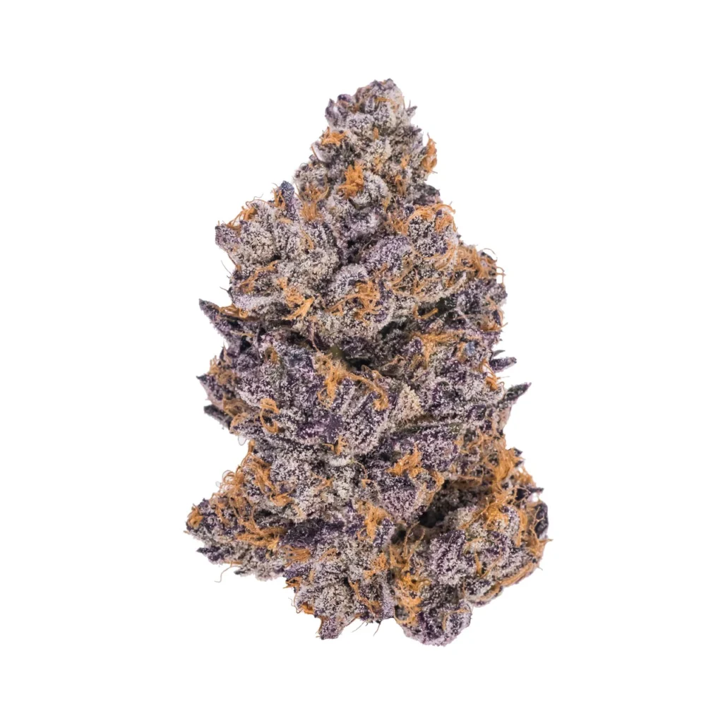 jealousy-strain-cannabis-flower-nug - Da Green Corner Weed Delivery Jealousy by Seed Junky Genetics is a highly sought-after hybrid strain that has gained significant popularity for its potent effects and exceptional flavor profile. This strain is a cross between the well-known Gelato 41 and Sherbert, resulting in a smooth blend of sweet, creamy, and citrusy flavors with a touch of earthiness.