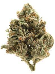 royal-og - Da Green Corner Weed Delivery Royal OG (RG) is an indica-dominant cannabis strain known for its potent effects and unique flavor profile. It boasts a relaxing and calming high, making it ideal for evening use or unwinding after a long day. Its aromatic profile includes earthy, piney, and citrus notes, with a hint of spice. The strain is often praised for its ability to relieve stress, anxiety, and insomnia, as well as offering pain relief. The dense buds are typically covered in frosty trichomes, adding to its visual appeal.